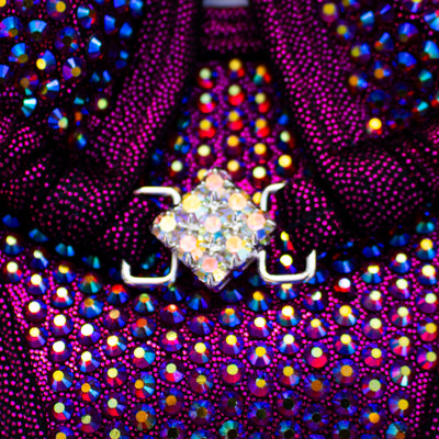 Dark Siam on Fuchsia Competition Bikini S/S | Pre-Made Suits | OMG Bikinis
