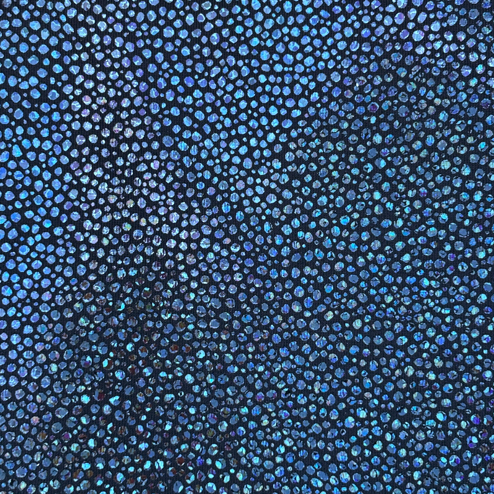 Black Pebbles Holo | Fabric Swatches | OMG Bikinis