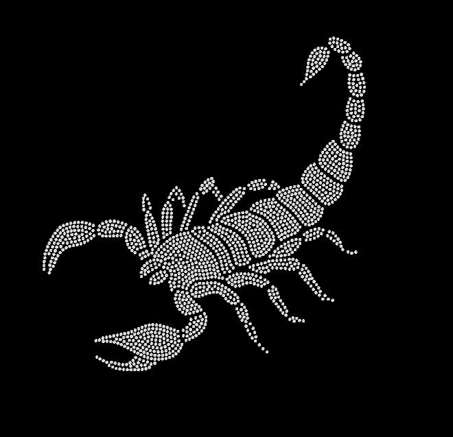 Scorpion Rhinestone Transfer | OMG Bikinis